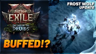 PoE 2 0.4 - The Most Unnecessary Buffs Ever - Werewolf Druid Build Update