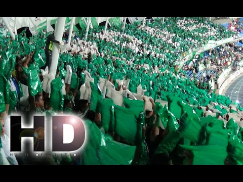"TIFO Frente Radical Verdiblanco Cantos Deportivo cali vs Peñarol 0-1 copa sudamericana" Barra: Frente Radical Verdiblanco &bull; Club: Deportivo Cali