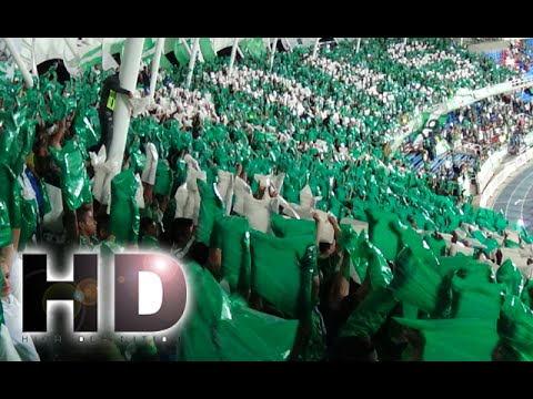 "TIFO Frente Radical Verdiblanco Cantos Deportivo cali vs Peñarol 0-1 copa sudamericana" Barra: Frente Radical Verdiblanco • Club: Deportivo Cali