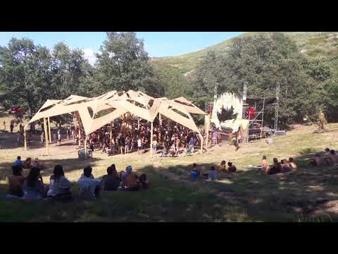 Forest soul  gathering 2019