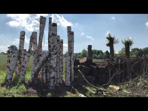 Naturgarten in der Wilhelminenaue