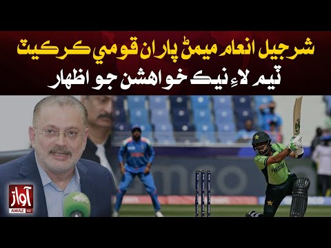 Sharjeel Inam Memon expresses best wishes for the Pakistan cricket team | Breaking News | Awaz Tv