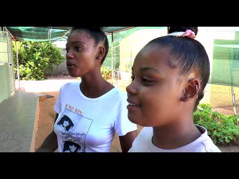 Vriende wat verlei - Kort Verhaal