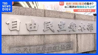 裏金問題で解体も…自民党内で派閥復活の動き？ 旧派閥メンバー中心とした会合相次ぐ　背景に衆院選で誕生した新人議員　党内で存在感高める狙いも｜TBS NEWS DIG
