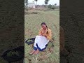 Santhali Short Video Kurino143 Santhalumul Youtubeshorts Santhalishortvideo Trending