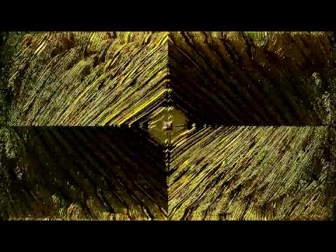 Didrapest - Celebration (Sychovibes vs Dj Yann Rmx)