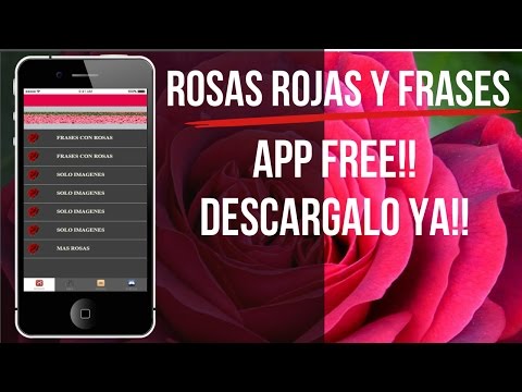 Roses Images: Love Rose flower Video