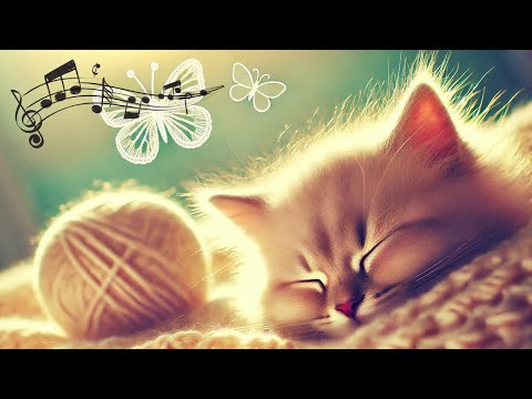 3-Hour Meditation Music for Cats: Ultimate Calm for Feline Stress and Sleep