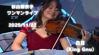 【ライブ映像】King Gnu「白日」|バイオリン演奏|杉山麻衣子