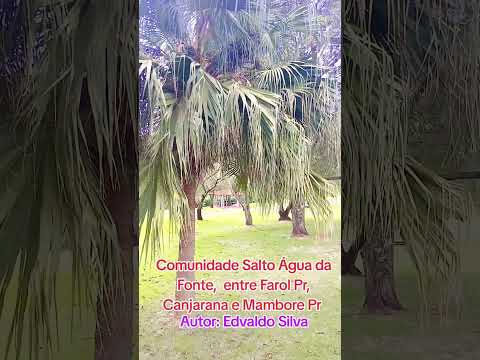 Entre Farol e Mambore Pr
