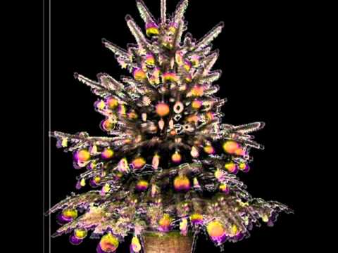 PORQUE TE QUIERO MUJER.wmv