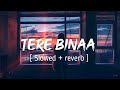 TERE BINAA ( Slowed + reverb ) - Heropanti || Mustafa Zahid || EARGASM
