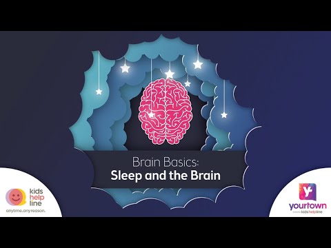 Brain Basics: The sleep deprived brain