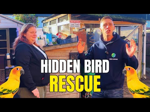 Inside a Backyard Bird Rescue