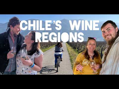 Sipping Through Chile's Best Wineries: A Wine Tour Adventure Like No Other