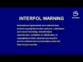 Big Idea FBI Warning Screen 2001 2003 Widescreen Edition