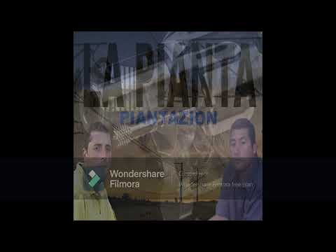 LA PIANTA   PIANTAZION ( HIP HOP CHILENO) FULL ALBUM 2002