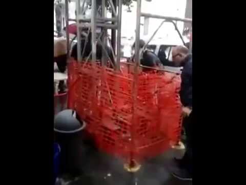 Ciro Marigliano Il Gatto al Bar