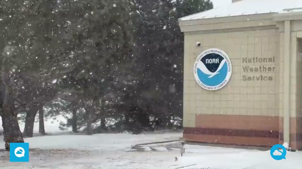 youtube video id=NqU23HDBtSM