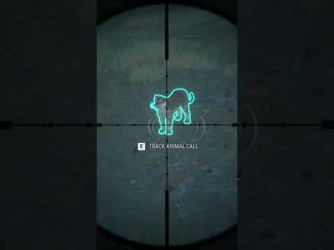 3 RARE Tigers In 30 Seconds | The Hunter Call Of The Wild