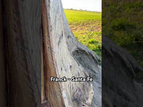 Imagen tallada zona rural Franck Santa Fe