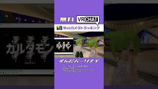 【無料】3Dずんだパーリナイ Webカメラトラッキング📷️【解説&実演】#VRCHAT #ずんだもん