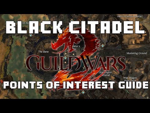 download gw2 untamed download gw2 untamed