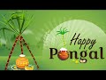 Happy Pongal Whatsapp Status 2022 Happy Pongal Wishes In Tamil Pongal Whatsapp Status 2022