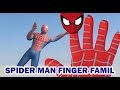 Spider Man Finger Family Rhymes Nursery Rhymes For Kids