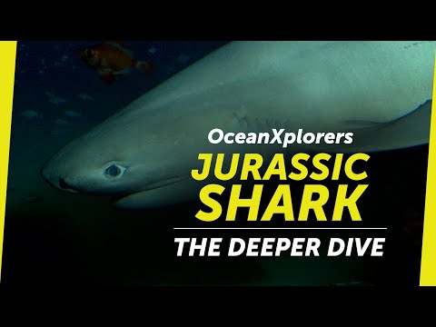 OceanXplorers: Jurassic Shark – The Deeper Dive