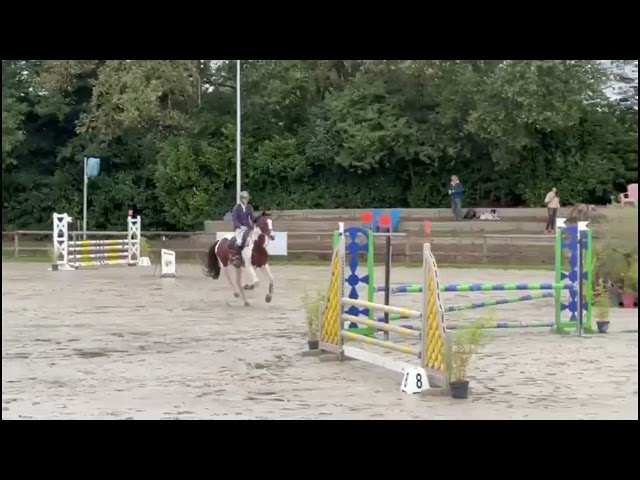 Mâle pie bai Famille 5*