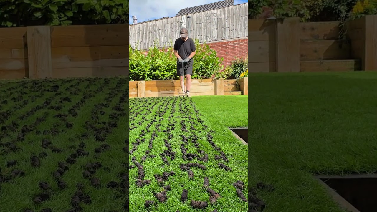 Aerating your lawn is the perfect winter preparation! #lawncare #lawn