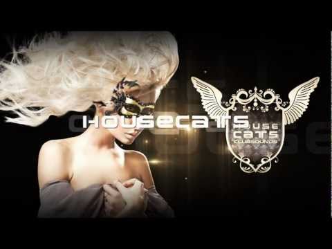 Housecats Part II Final - 23.07.11 - at Trichter Bayreuth