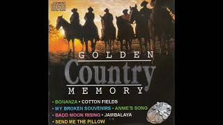 Download lagu 01.Bonanza (cover version) mp3