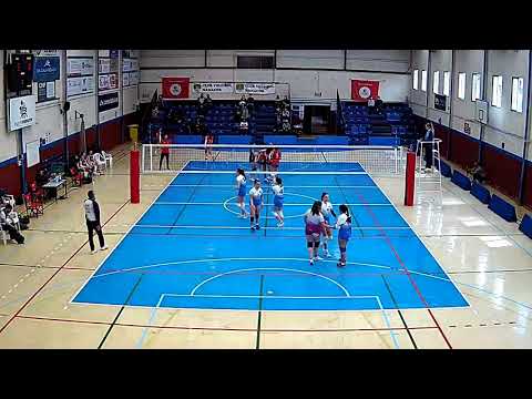 IONA CV MANACOR CFA - CV ARTA