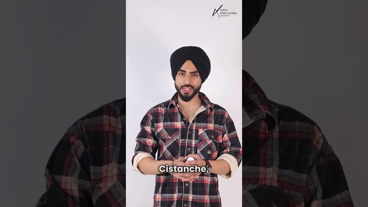 Alpha Man+ | Alpha Mind Global