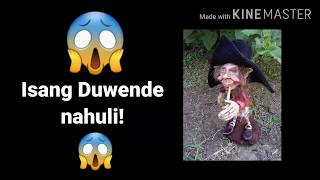 Download lagu Isang Duwende nahuli sa bakuran!! mp3 Download lagu Isang Duwende nahuli sa bakuran!! mp3