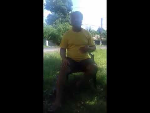 Vasile din tatarasti