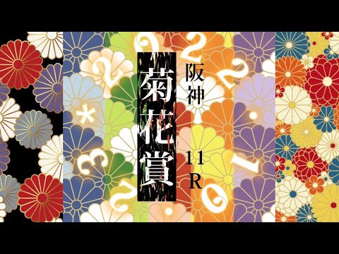 2022.10.23   阪神 11R   菊花賞