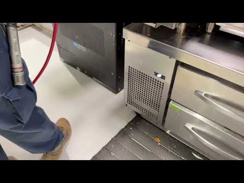 Treating the Ants in the Kitchen in...