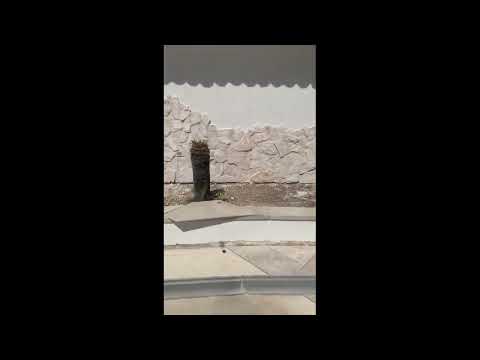 Riammodernare la zona piscina