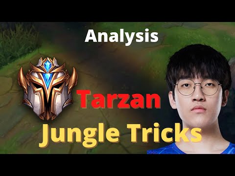 How LNG Tarzan Jungle Diffs : Formula Jungle Route