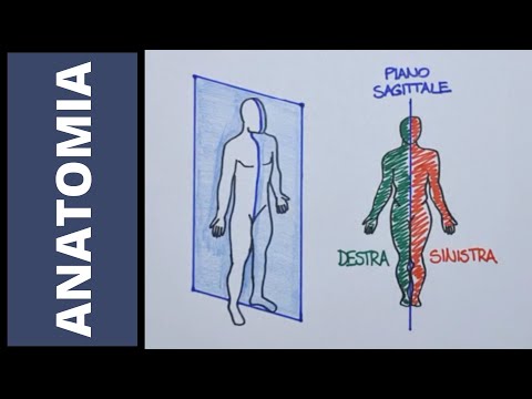 Terminologia anatomica