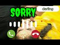 Sorry Darling Song Status Raju Punjabi New Song Status Sorry Darling Incoming Call Status