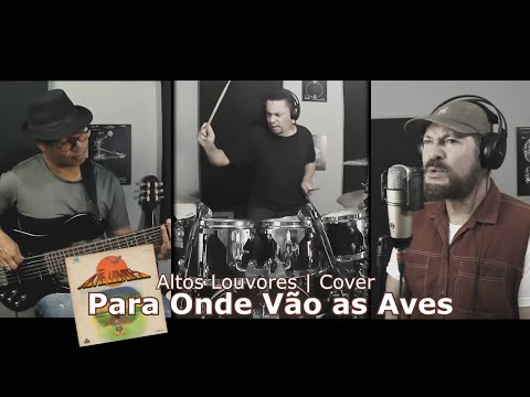 Para Onde Vão as Aves - Altos Louvores | Cover