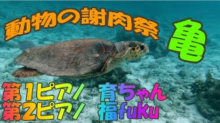 Download lagu 「動物の謝肉祭」【亀】シャルル・カミーユ・サン=サーンス mp3 Download lagu 「動物の謝肉祭」【亀】シャルル・カミーユ・サン=サーンス mp3