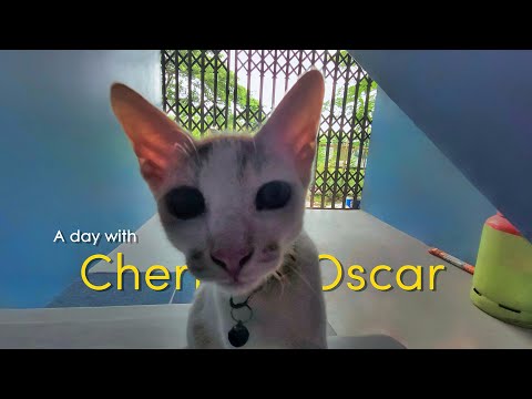 A day with Cherry & Oscar