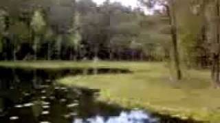 preview picture of video 'Девственные лесные озёра'