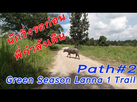 CNX RUNNING EP17-2 : งานวิ่ง Green Season Lanna 1 Trail #ช่วงสุดท้าย
