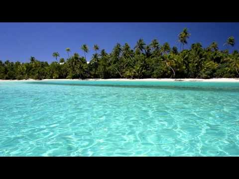 Dutch Feat. Lisa Fischer - (Why Should I) Think About The Rain